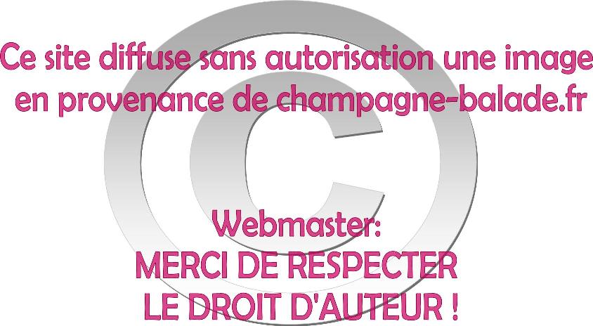 la galerie n�31