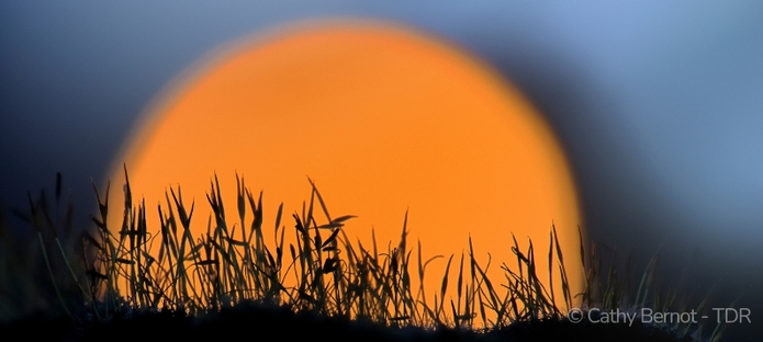 inspiration photo en hiver